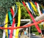 05_maifest