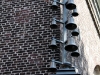 bild4