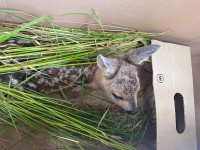 IMG-20260613-WA0012