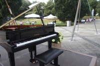 Foto_3