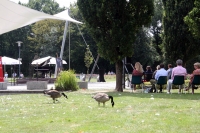 Foto_4