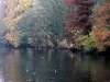 bild-7