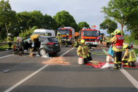 IMG_9516