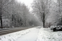 Winter_1