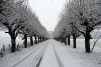 Winter_2