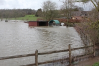 image006