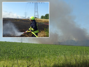 Feldbrand_Foto