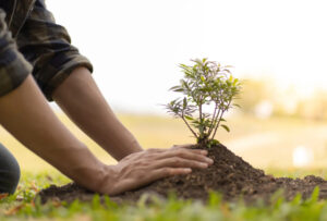 Baumpflanzeaktion_Bild Presse