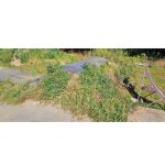 Rampen Pumptrackbahn