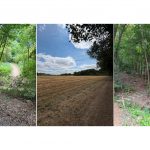 Wanderweg02