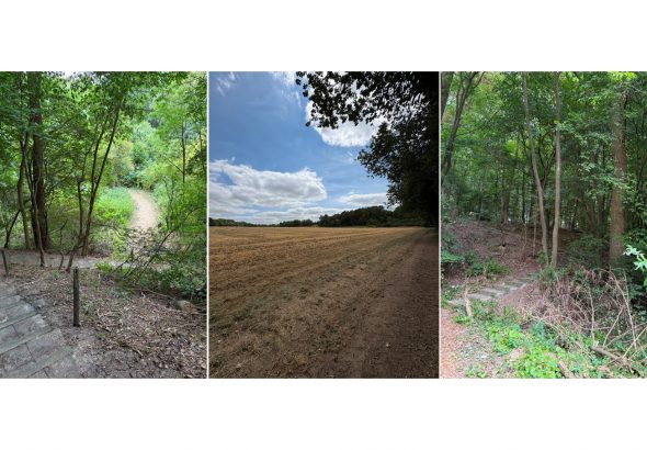Wanderweg02
