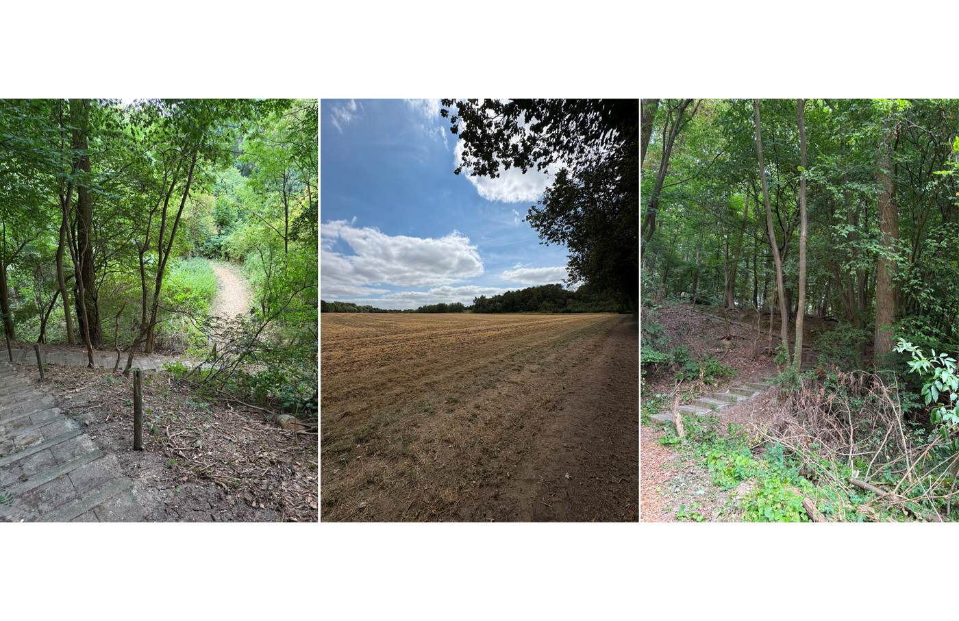Wanderweg02