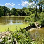 Wurmauenpark