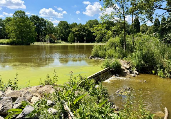 Wurmauenpark